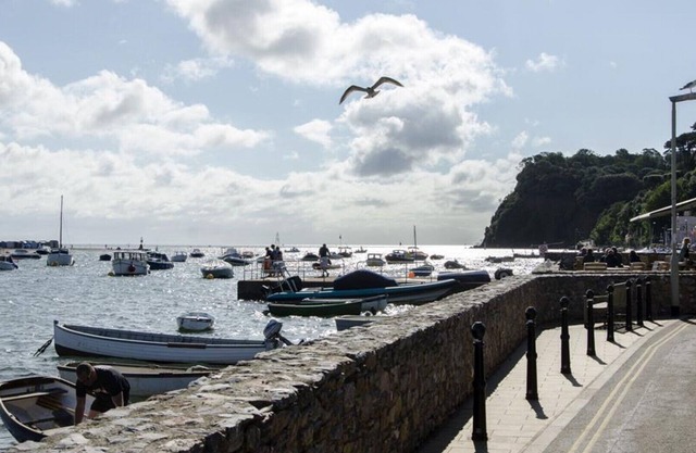Shaldon Beach Hut 
