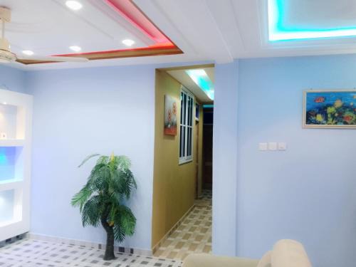 Shark's Guest House