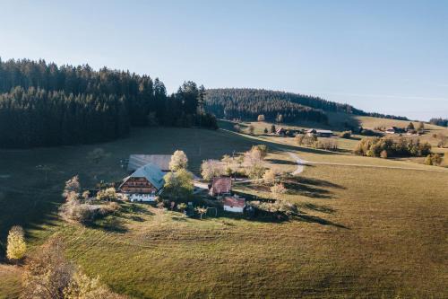 Schwarzwaldblick 