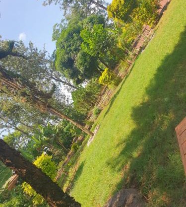 Sinana country Home-Backpackers Stay