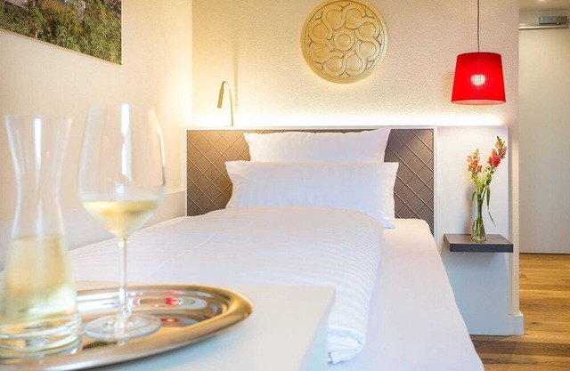 Single Room - Emich's Hotel