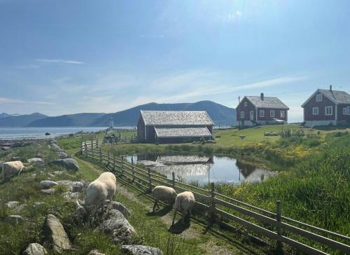 Sjarmerende Bolig På Gammel Fyrstasjon