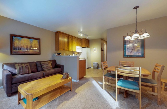 Ski-in dog-friendly condo with hot tub & sauna in great location