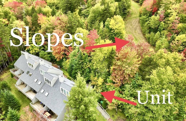 SKI IN - SKI OUT- 5 Bedrooms - 1 gig wifi, Mountain View’s