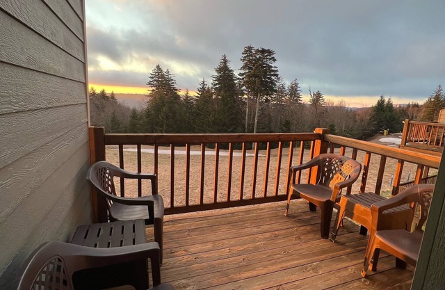 Ski in/Ski out Mountain Retreat! With abundant activities for all seasons!
