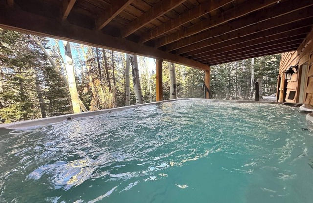 Ski Season booking up! Huge cabins close to slopes