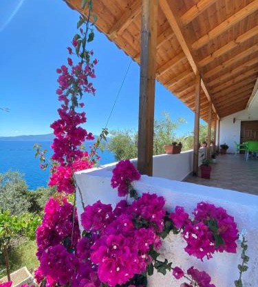 Small house, Sarandë