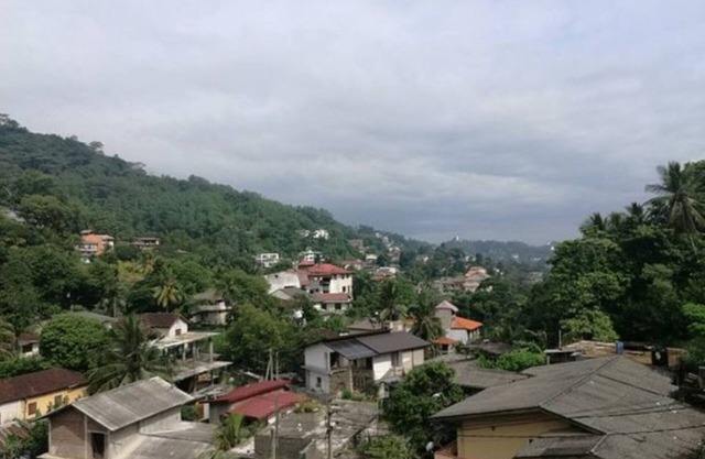 Sobaya 