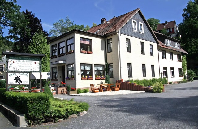 Sonniges Dachgeschoss-Refugium, Wildemann