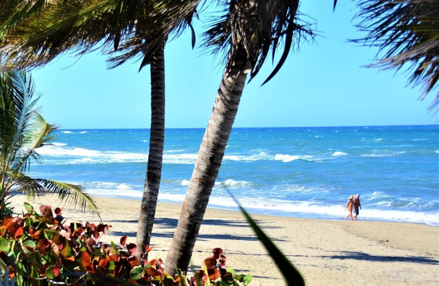 Sosua Bachelor Party 10 BR Beachfront Mini Resort FREE BONUS