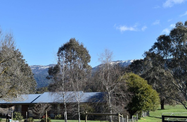 Spacious farmhouse on the rail trail with stunning views of Mount Buffalo.