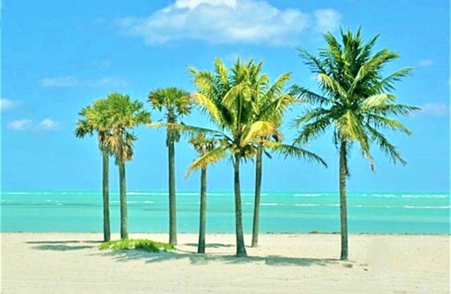 Spacious One Bedroom with Pool minutes to the Beach -