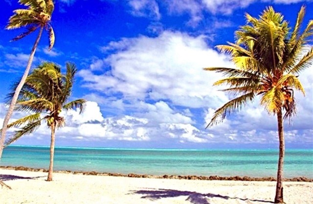 Spacious Two Bedroom with Pool close to the Beach -
