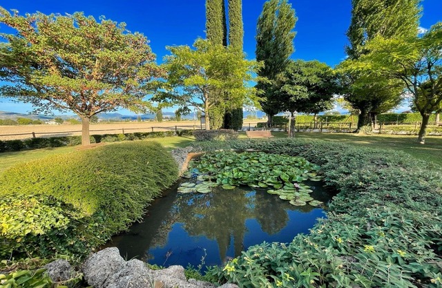 Spello By The Pool - Sleeps 11 - close to Spello central - large exc pool - wifi