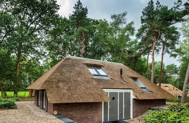 Sprielderbosch 24 Luxury holiday rental in the woody Veluwe region