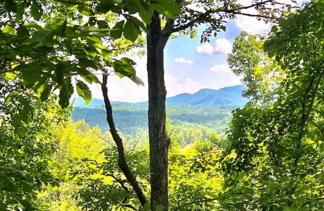 SPRING Forward, with SUMMER Right Around The Corner!