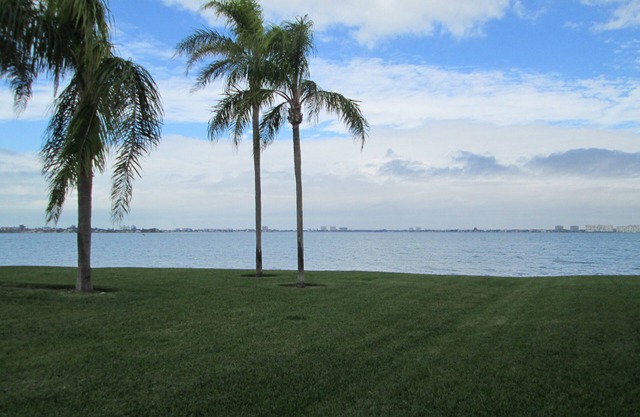 St Petersburg Beaches Waterfront Villa on Beautiful Isla Del Sol Sleeps 6