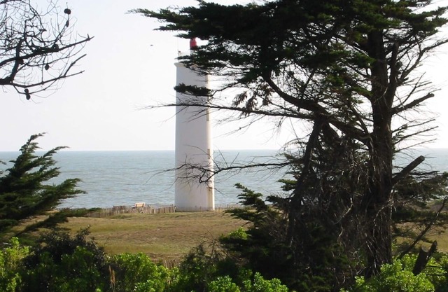 Stays in Family or between friends, house facing sea on Vendée Corniche