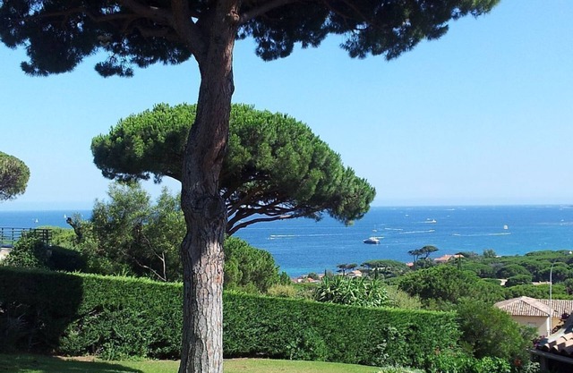 Ste Maxime: T3 Sea view, close to the beach, in a lush park.