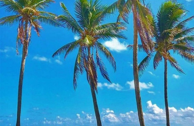 Steps from the Beach One Bedroom with Pool -