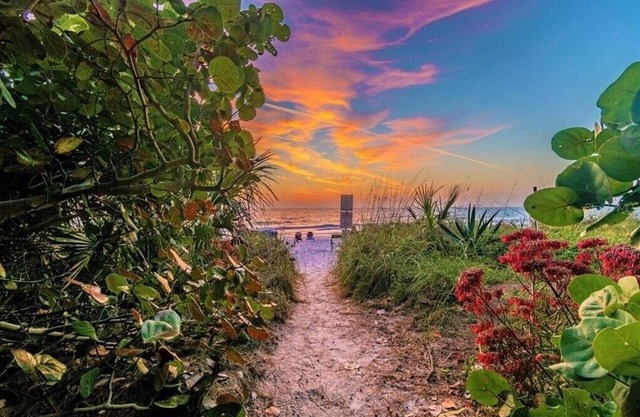 Steps to dwnt/7min to beach/queen bed/Free parking