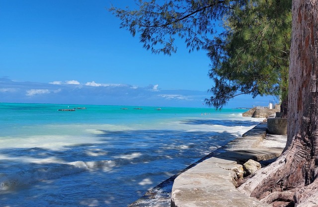 Stonefish Inn Jambiani