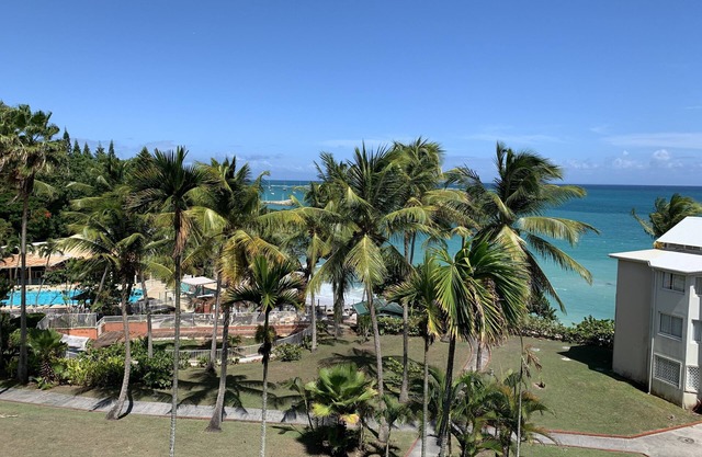 Studio 41m² sea view, beach access, ideally located