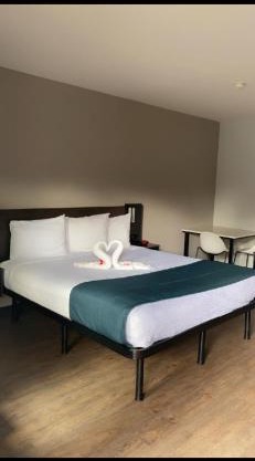 Hotel Del Sol 