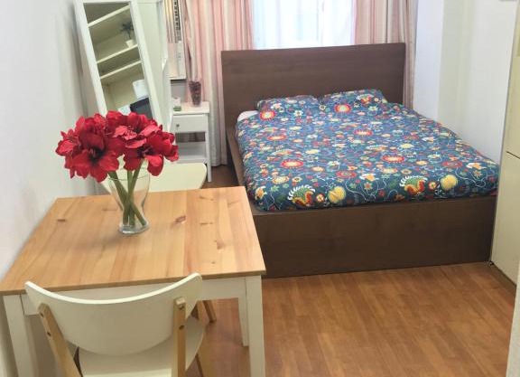 Studio Apartment Kayabacho KA2 W&E
