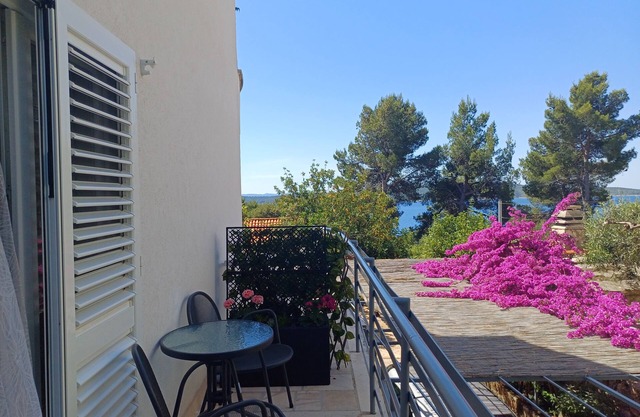 Studio flat with terrace and sea view Zavala, Hvar (AS-8710-a)