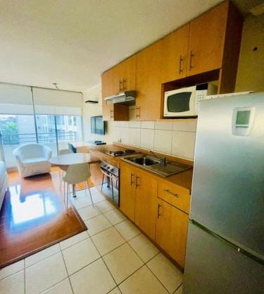 Studio in Lastarria - art, culture and gastronomy