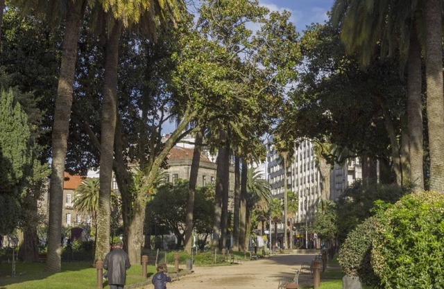 Study in the center of Pontevedra