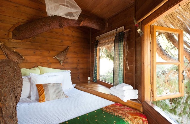 Stunning Treehouse 10 mins from sandy beaches.
