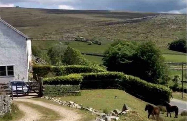 Stunning Views in a Hikers and Cyclists Paradise