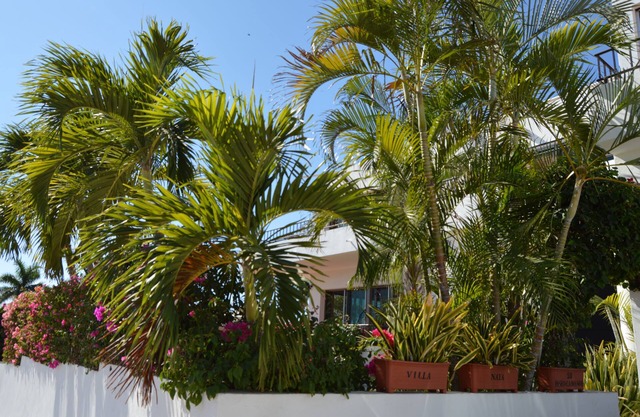STUNNING VILLA IN EXCLUSIVE CABO NEIGHBORHOOD!