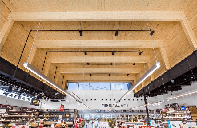 Stylish Open-Space Studio by Jean Talon Market