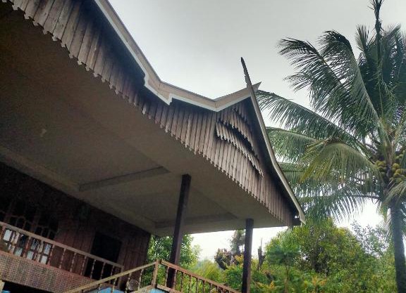 Sulawesi Forest Guest House