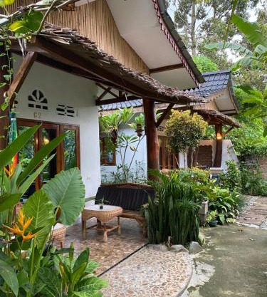 SumatraOrangutanDiscoveryVilla
