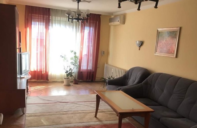 Sunny apartment near the heart of Sofia