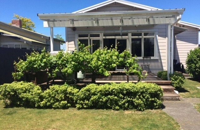 Sunny living close to McLean Park/Napier CBD