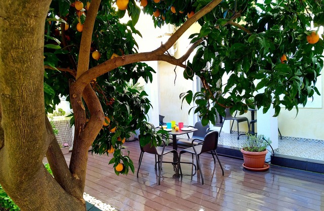 Sunny orange garden apartment in central Lisbon