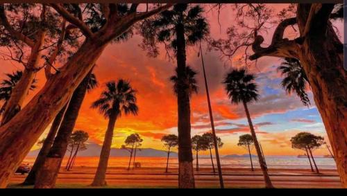 Sunset Boulevard Rooms