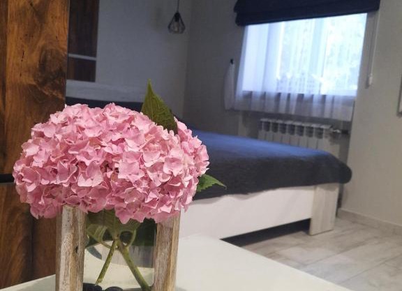 super apartment пр. Кирова (А.Поля) г.Днепр