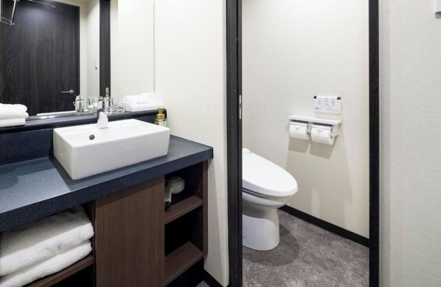 Super Queen in Apart-hotel in charming Shinjuku City