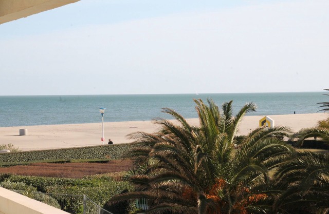 Superb renovated apartment of 45 m2 on the seafront with large terrace