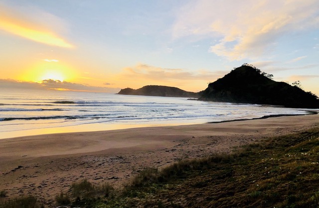 SURFPAD Pataua North place of plentyRelax and enjoy the good vibe