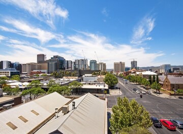 Swainson on Grote in Adelaide