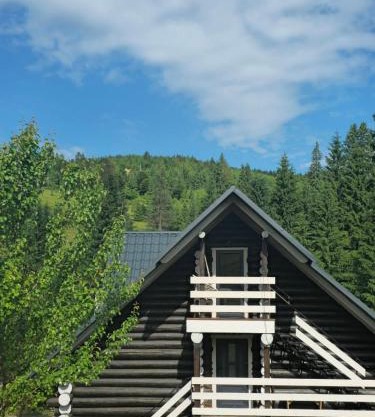 Synevyr House 2