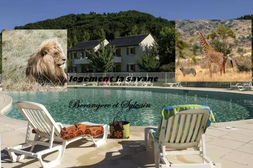 T3 la savane saint Geniez d'olt 2 piscines chauffées dans une charmante résidence de vacances