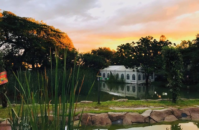 T3C GARDENS